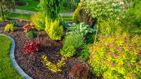 aménagement paysager à Brest - image 4