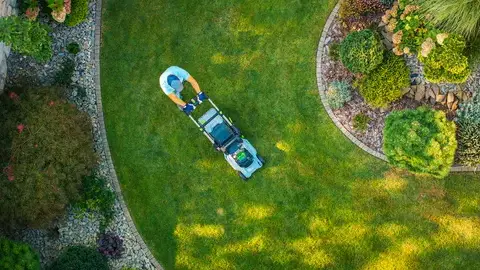 élageur à Brest - image 4