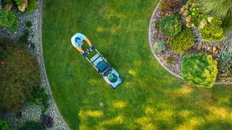 élageur Le Conquet-1