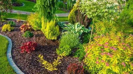 élageur à Le Conquet - image 2