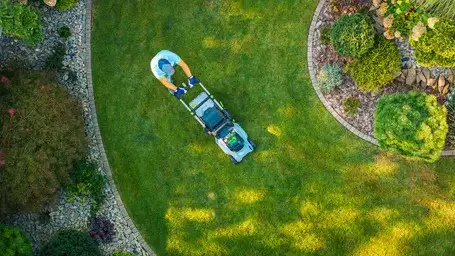 élageur Plouzané-5