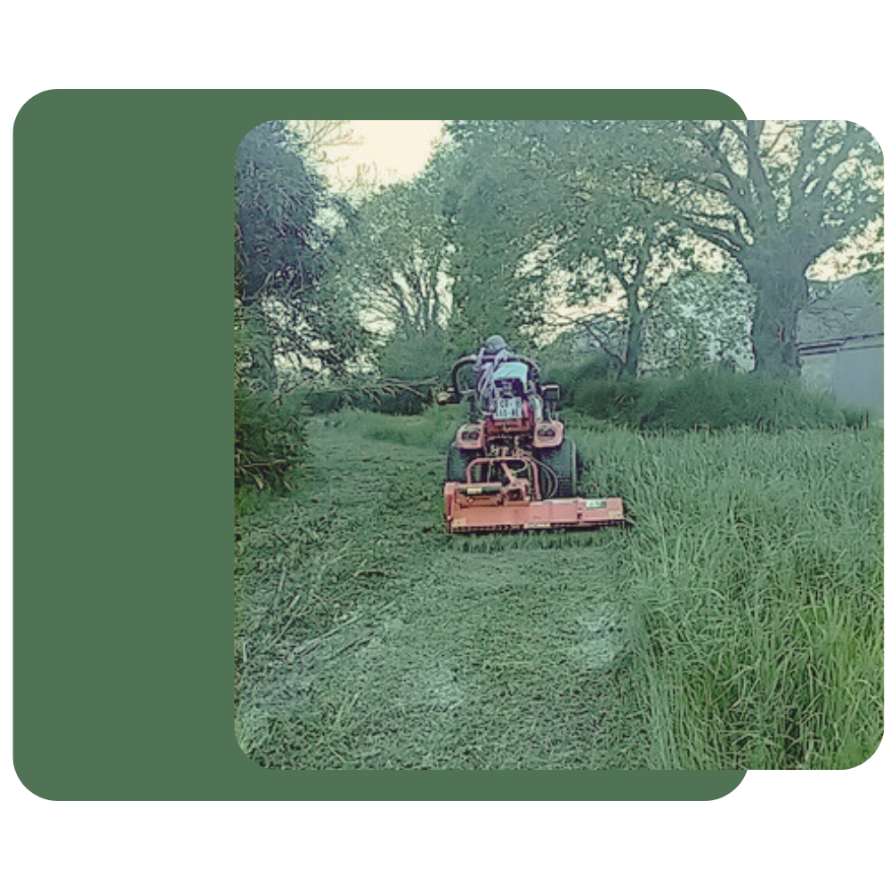 engazonnement le conquet