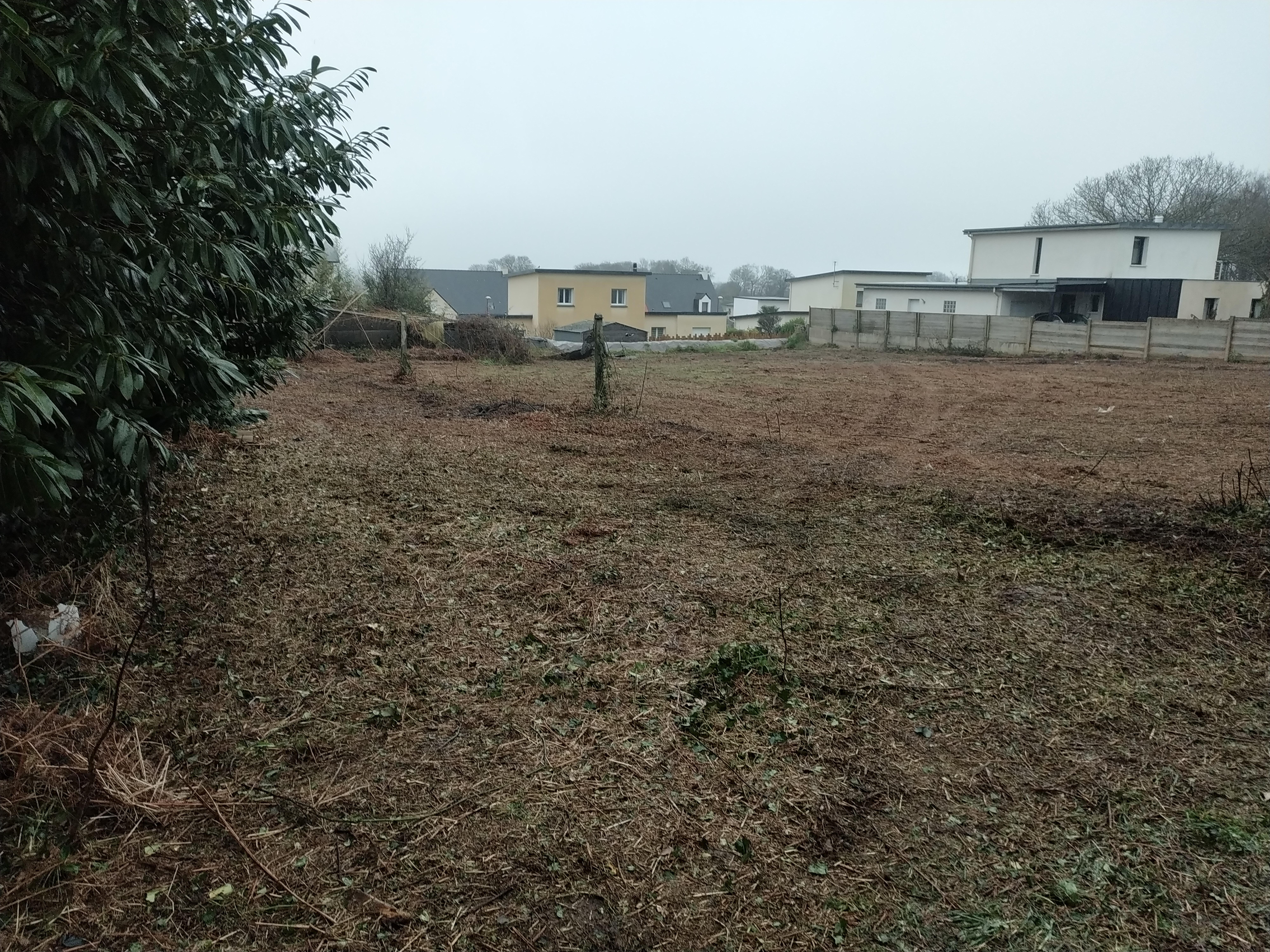 after-image